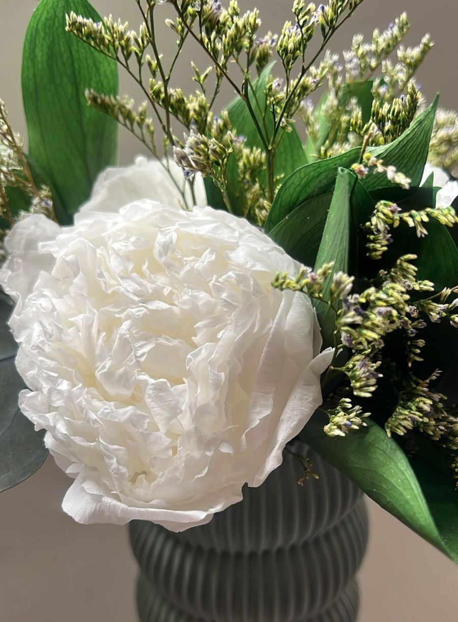 Peonia